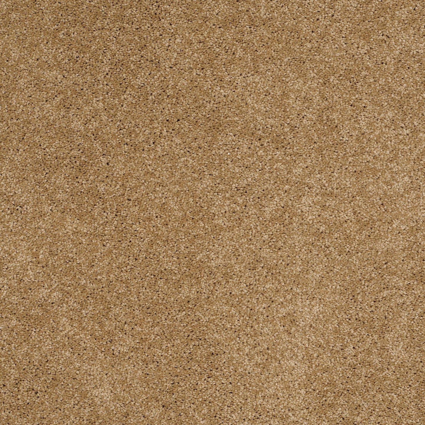 TEXTURE BCF