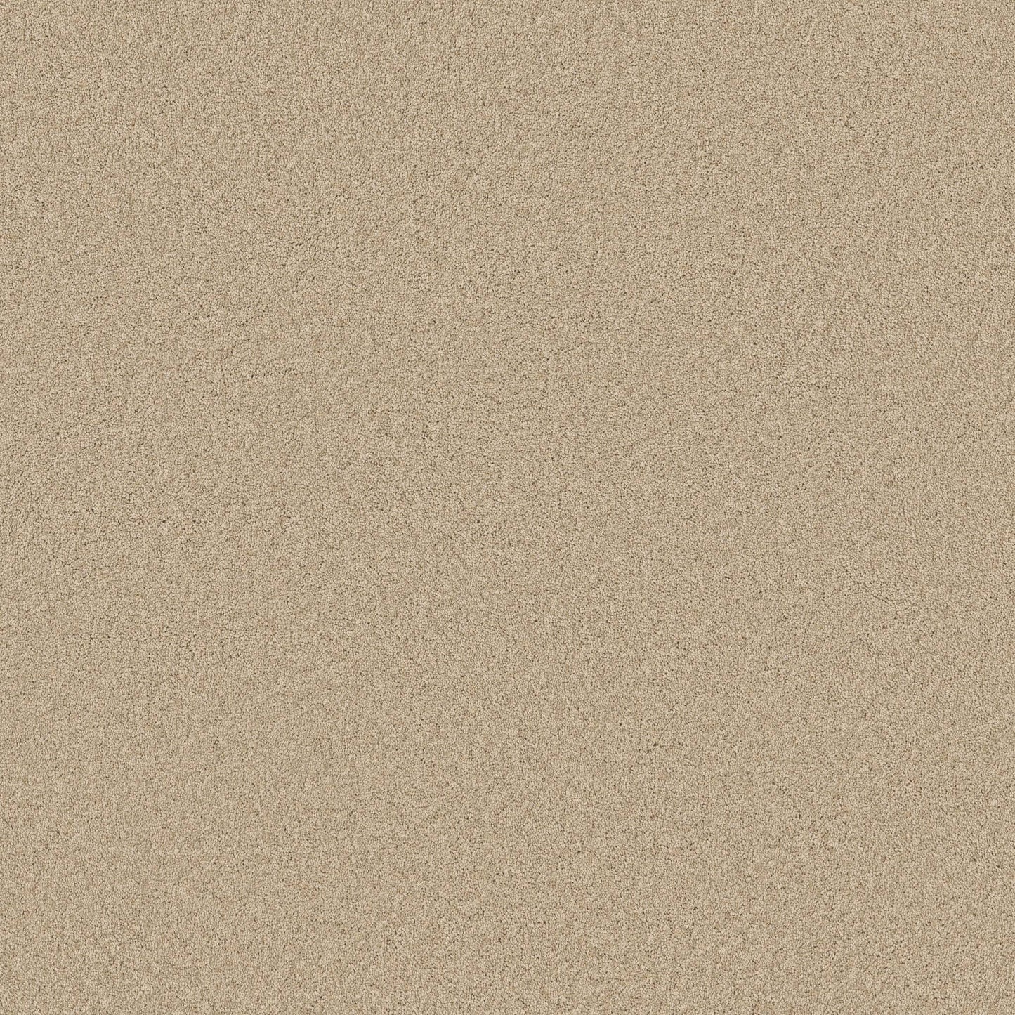TEXTURE BCF