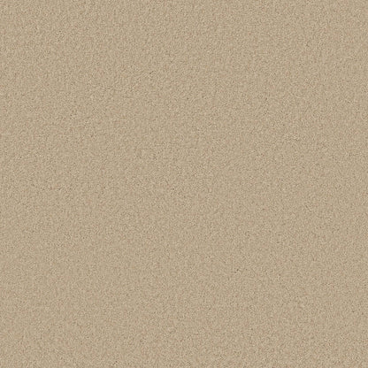 TEXTURE BCF