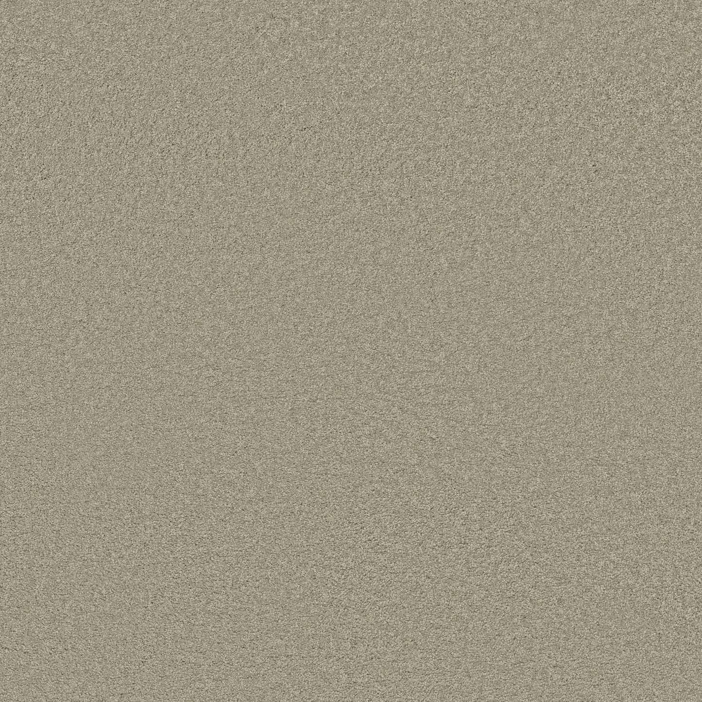 TEXTURE BCF