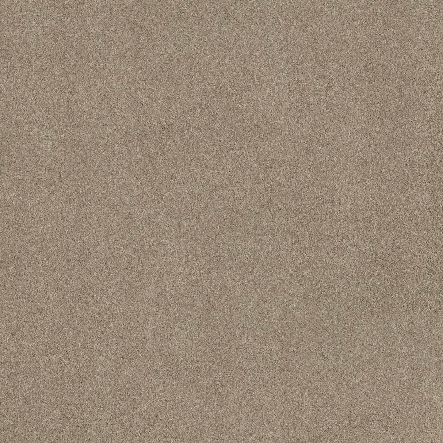 TEXTURE BCF
