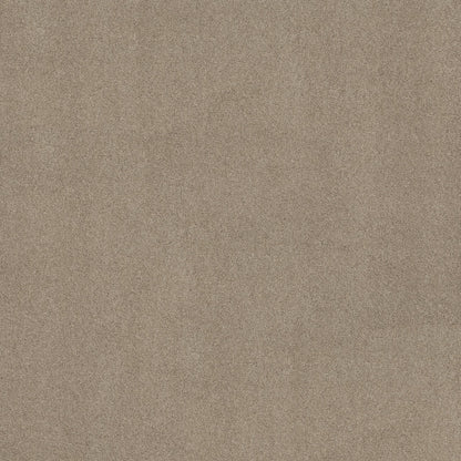 TEXTURE BCF