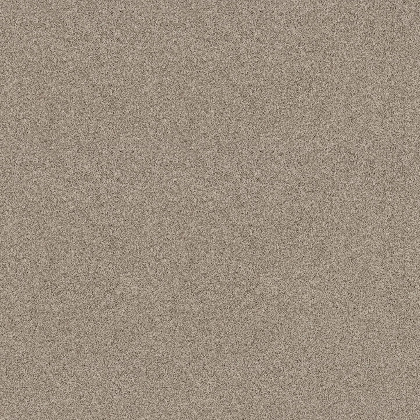 TEXTURE BCF