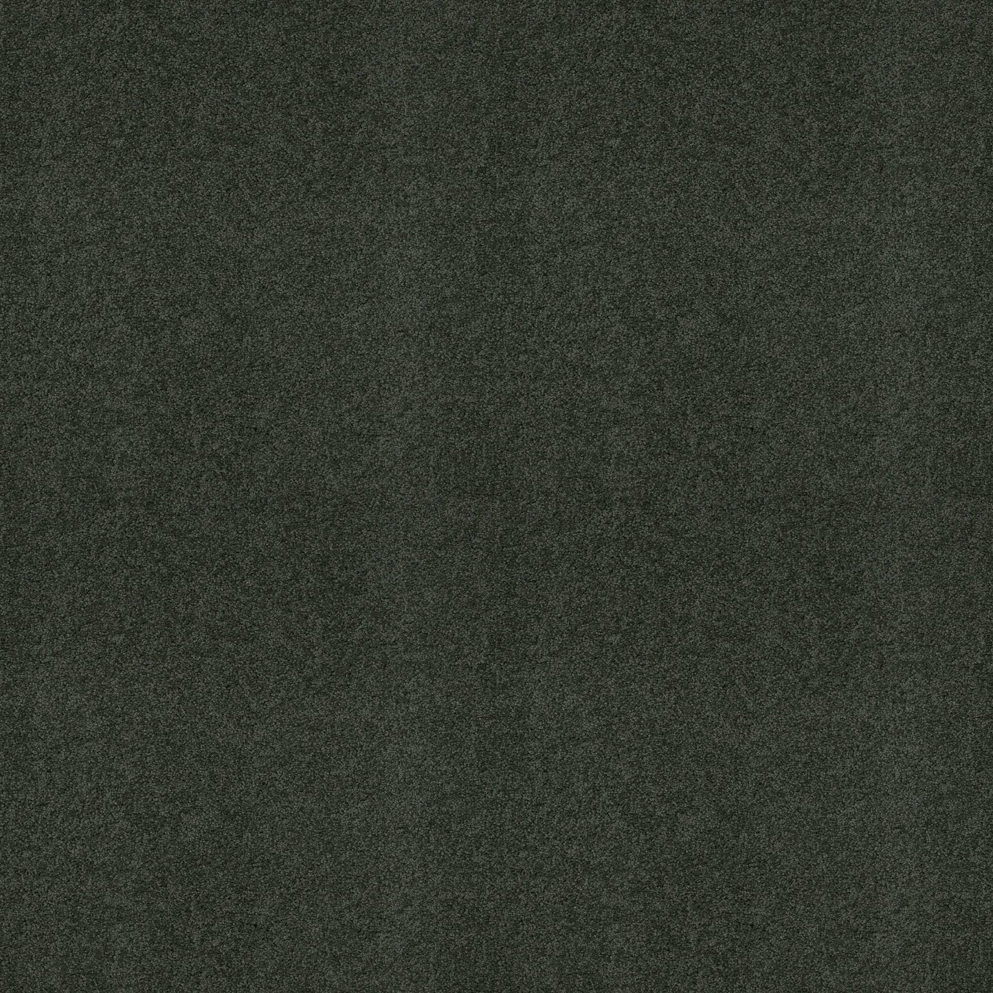 TEXTURE BCF