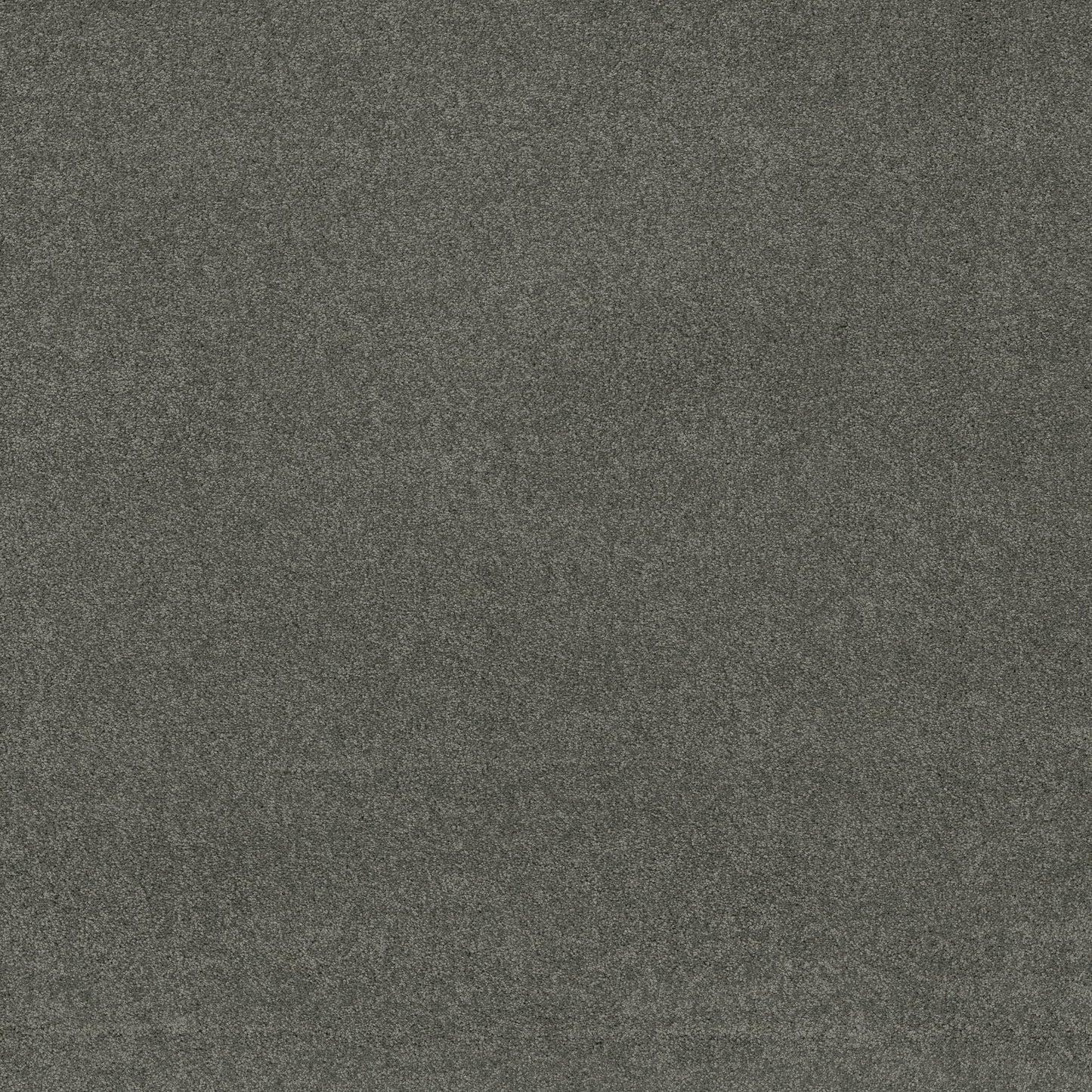 TEXTURE BCF