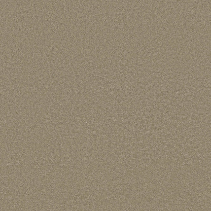 TEXTURE BCF