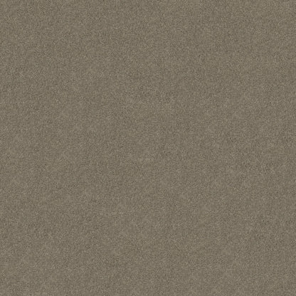 TEXTURE BCF