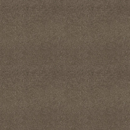 TEXTURE BCF