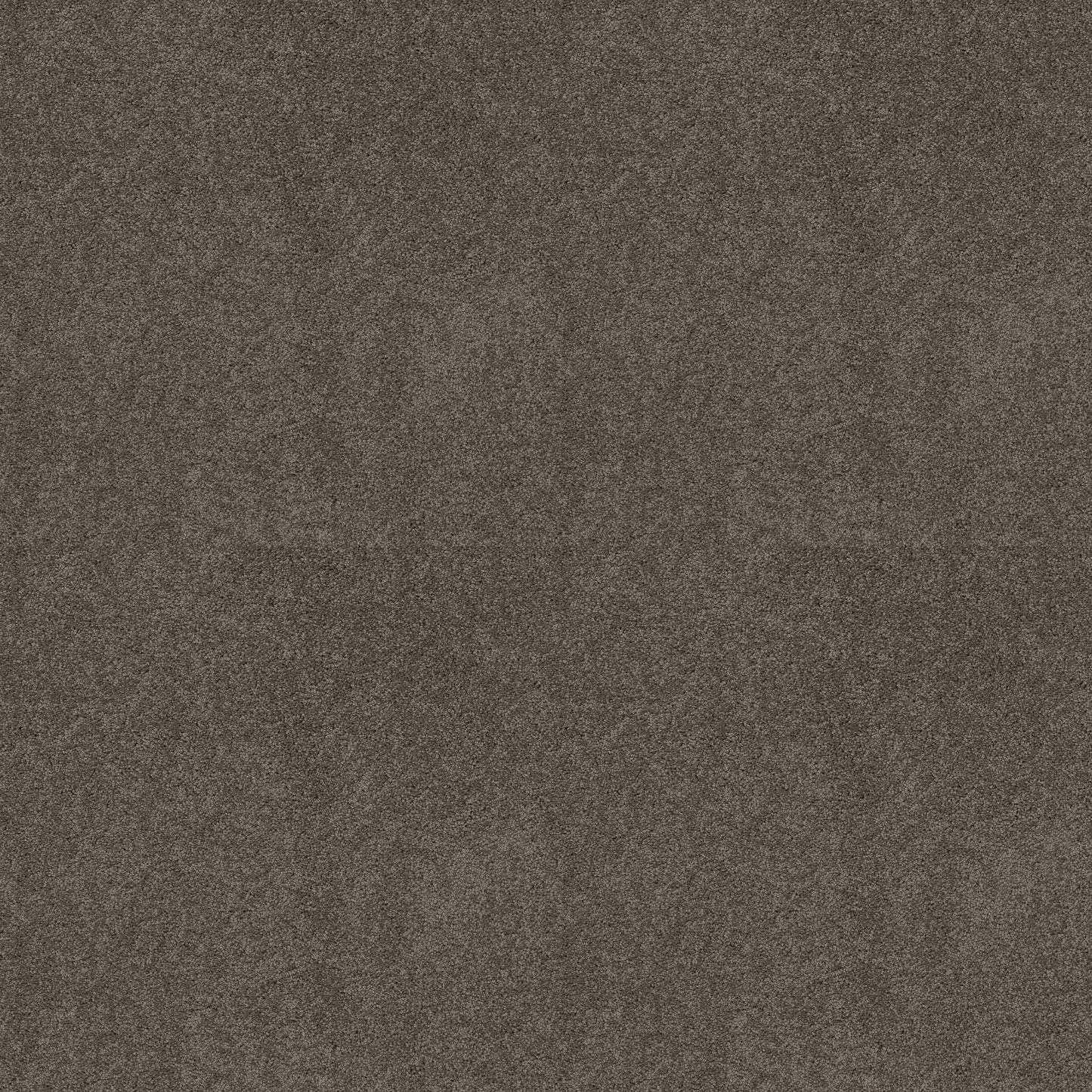 TEXTURE BCF
