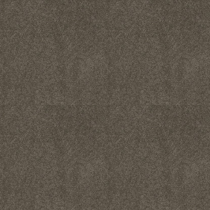 TEXTURE BCF