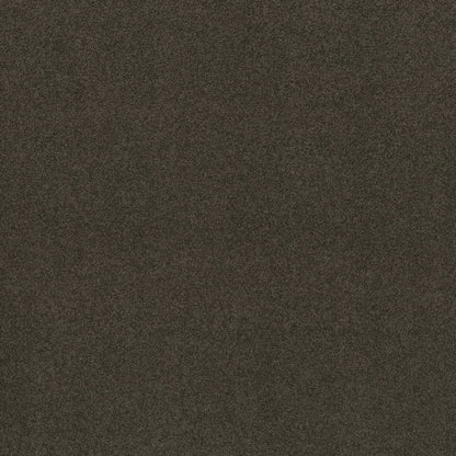 TEXTURE BCF