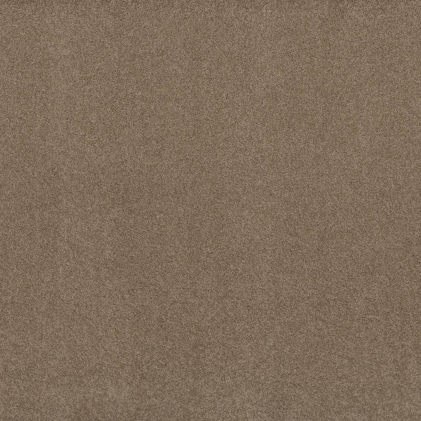 TEXTURE BCF