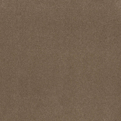 TEXTURE BCF