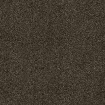 TEXTURE BCF
