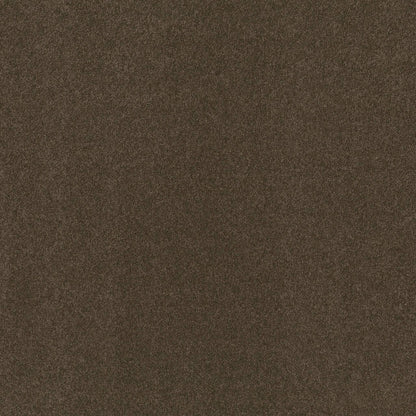 TEXTURE BCF