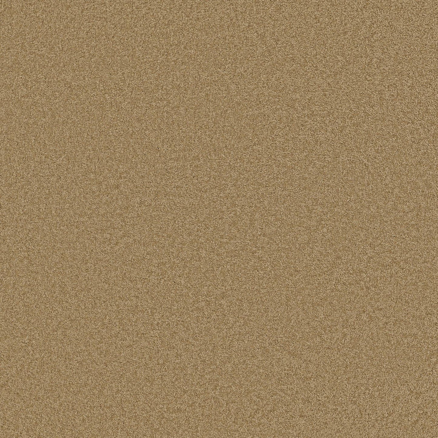 TEXTURE BCF