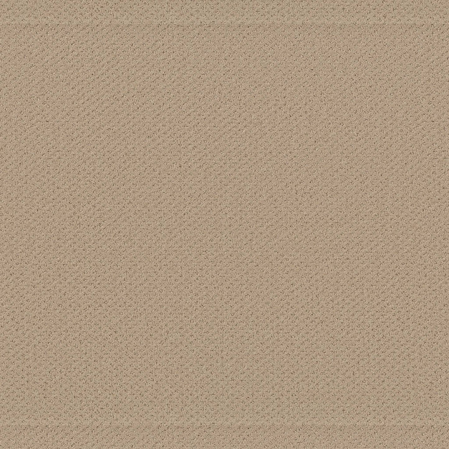 CUT UNCUT  R