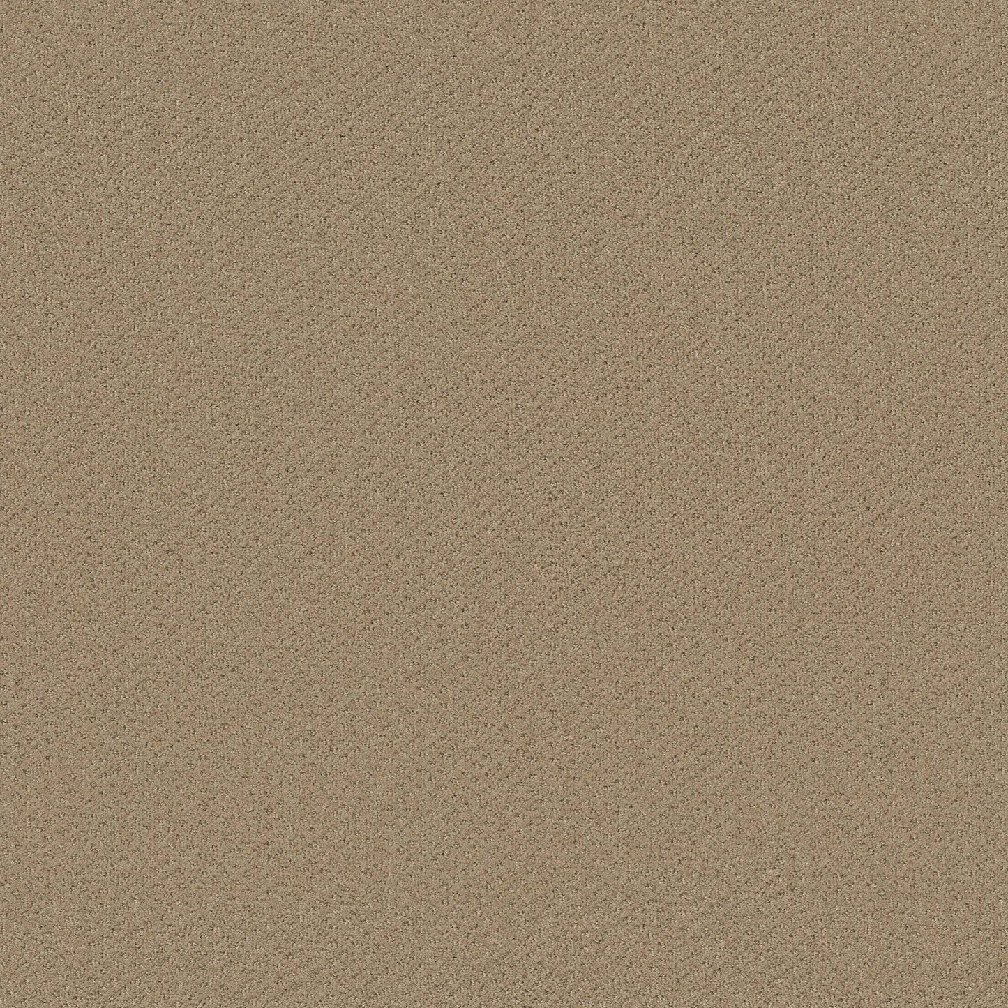 CUT UNCUT  R