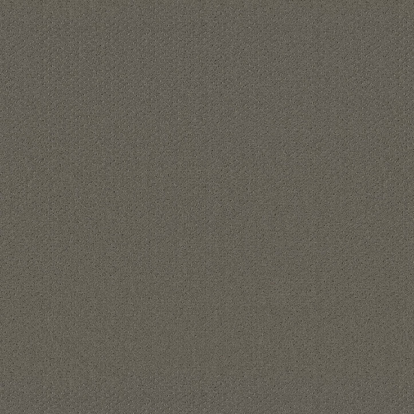 CUT UNCUT  R