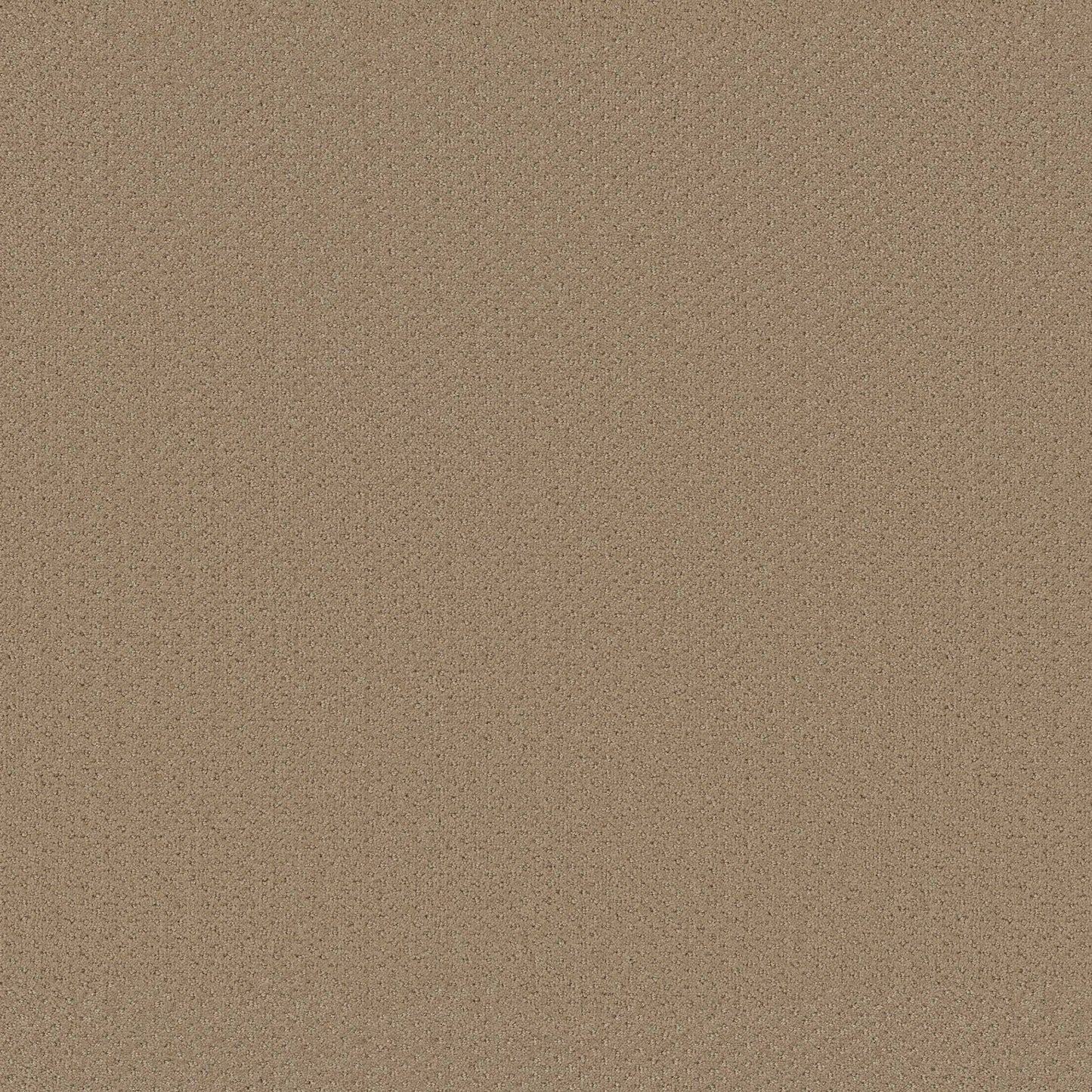CUT UNCUT  R