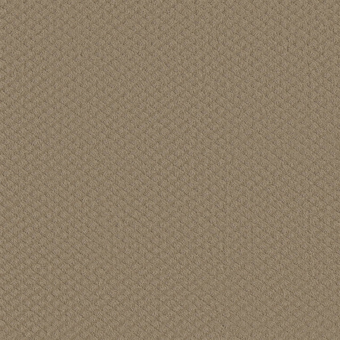 CUT UNCUT  R
