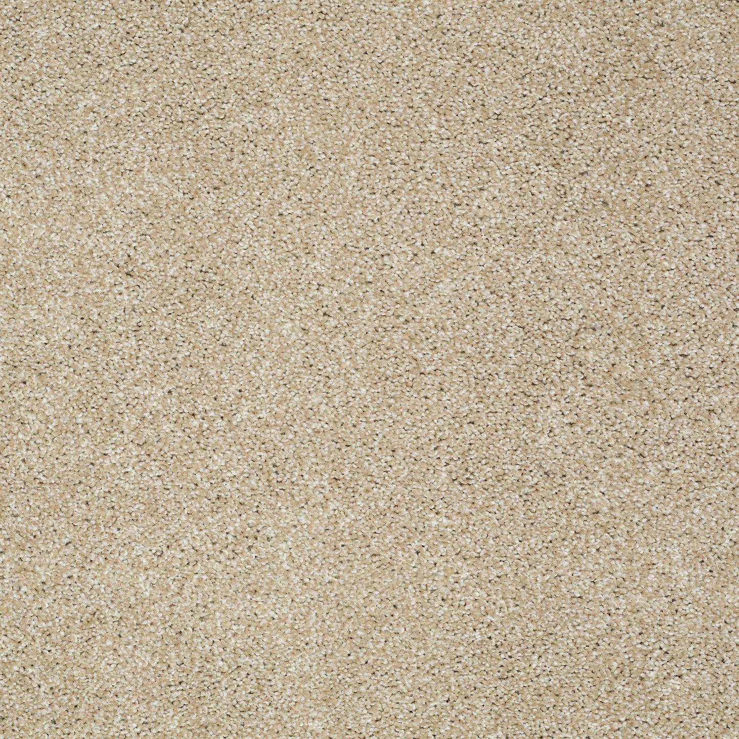 TEXTURE BCF