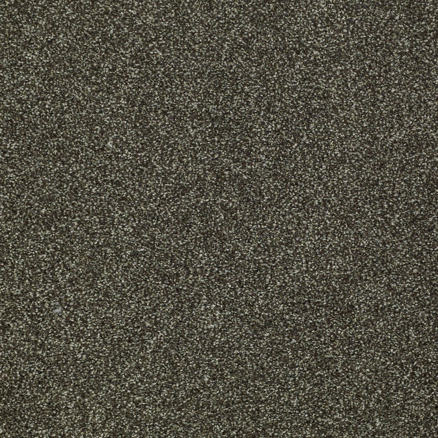 TEXTURE BCF