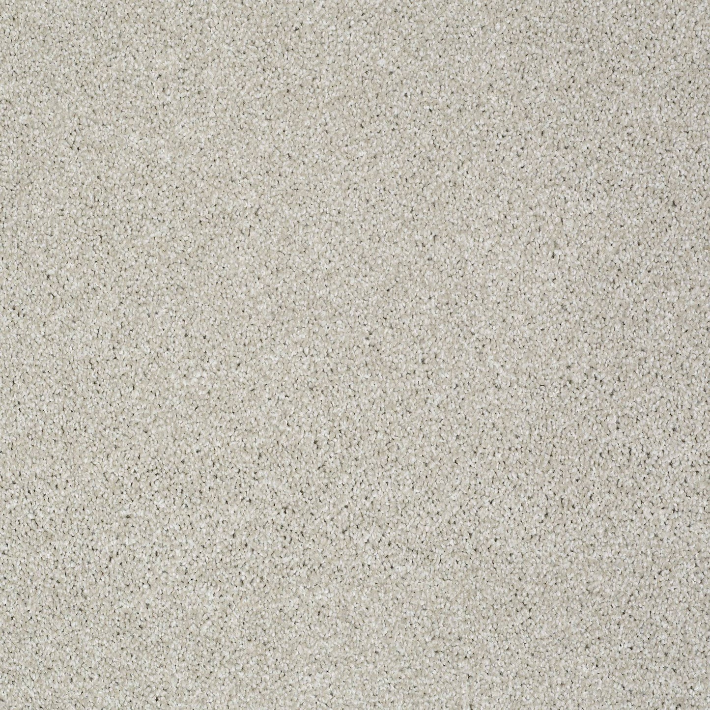 TEXTURE BCF