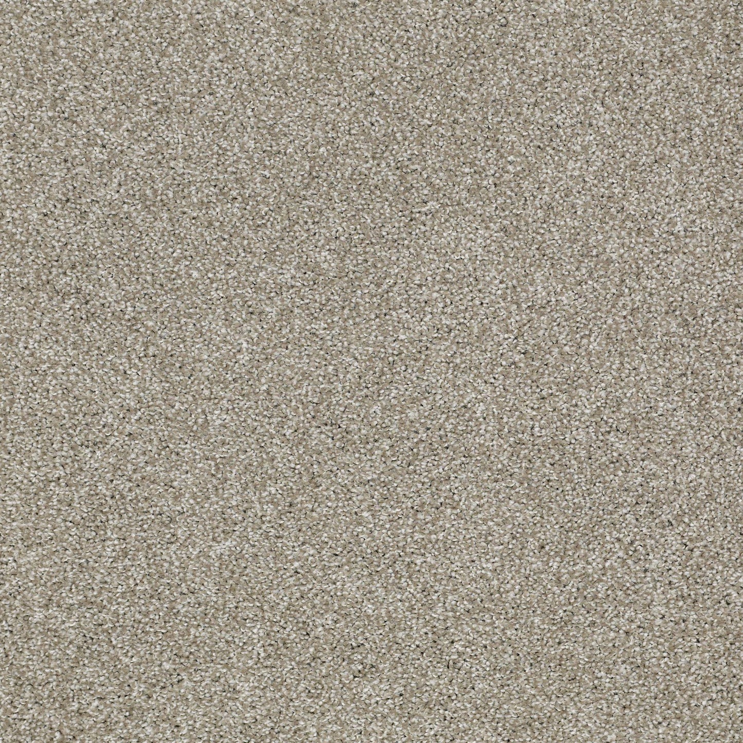 TEXTURE BCF