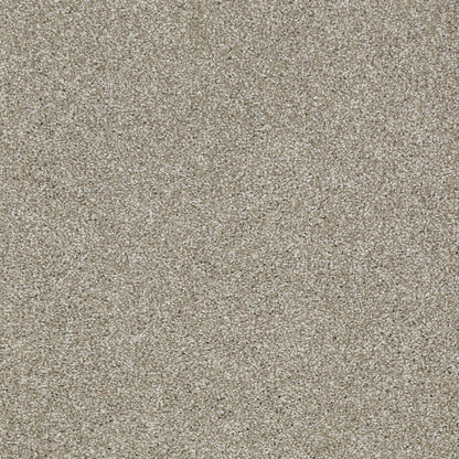 TEXTURE BCF