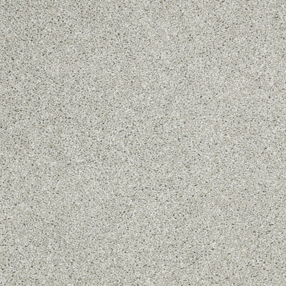 TEXTURE BCF