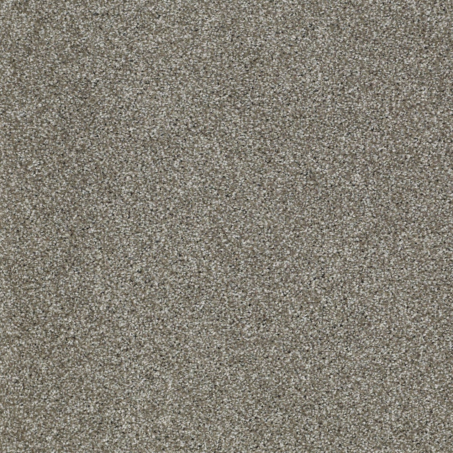 TEXTURE BCF