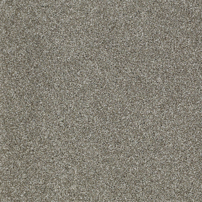 TEXTURE BCF