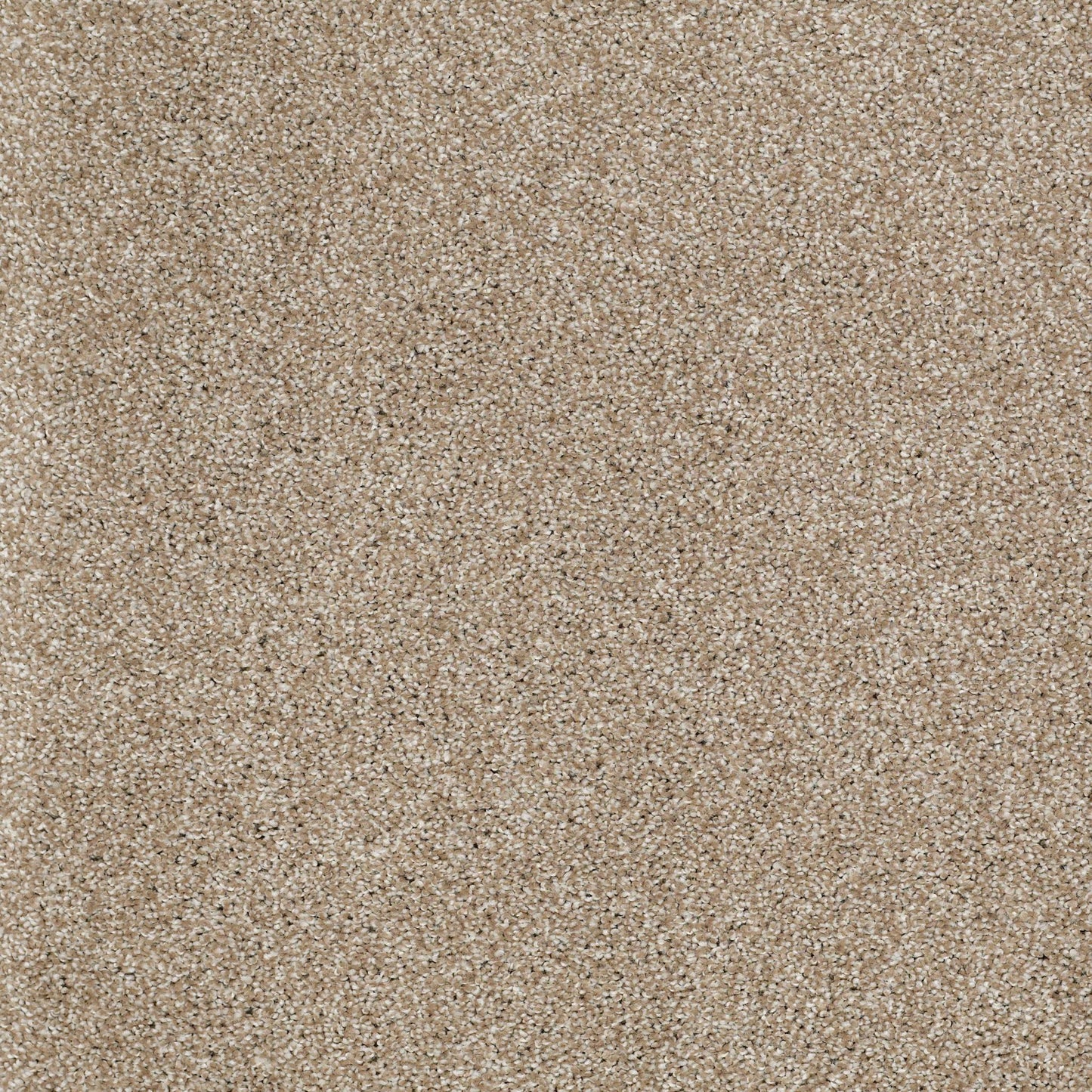 TEXTURE BCF
