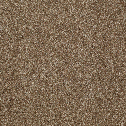 TEXTURE BCF