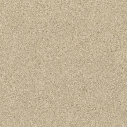 TEXTURE BCF