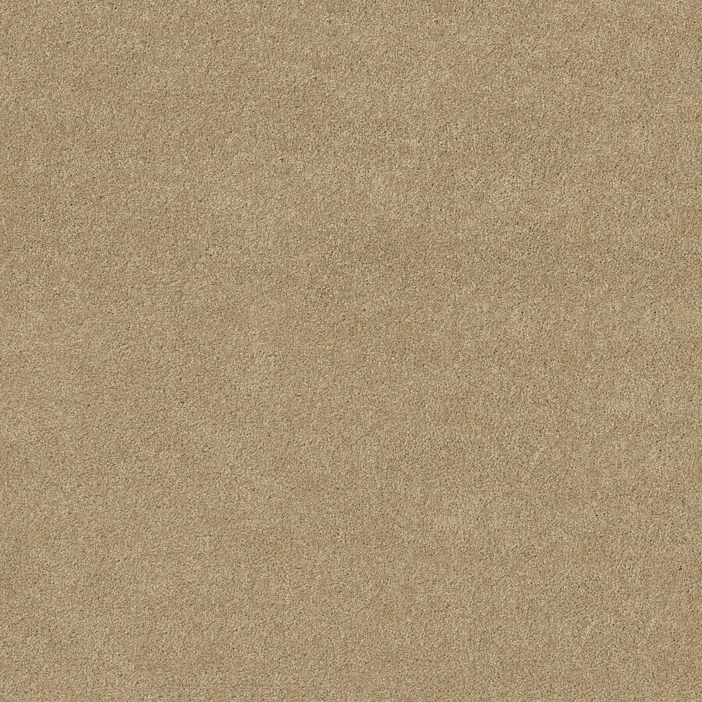TEXTURE BCF