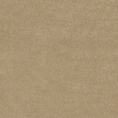 TEXTURE BCF