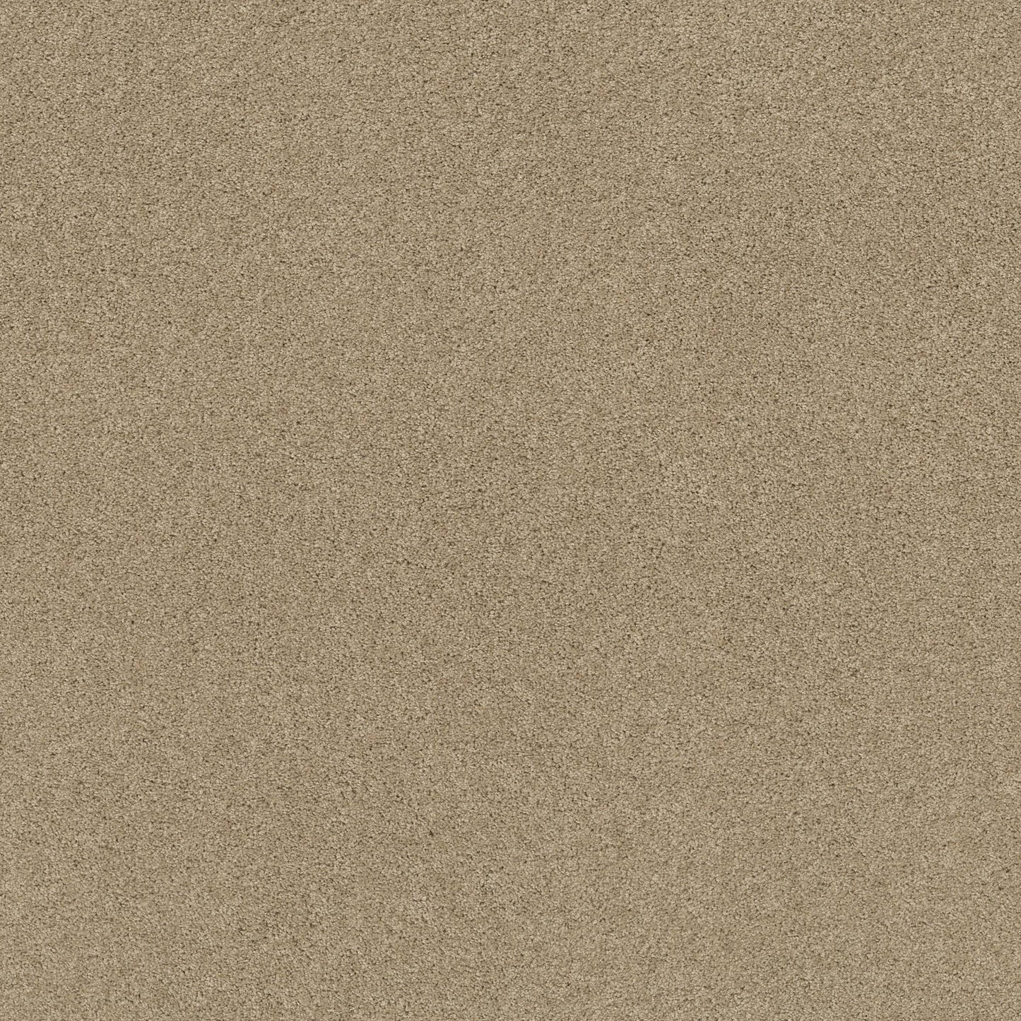 TEXTURE BCF