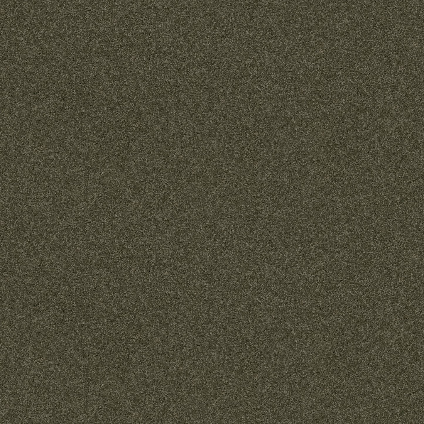 TEXTURE BCF