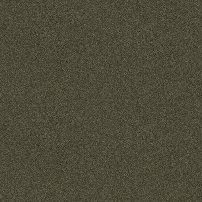 TEXTURE BCF