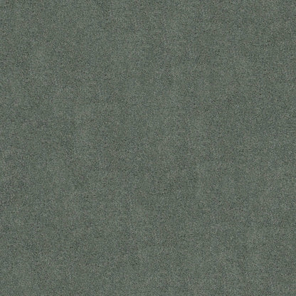 TEXTURE BCF