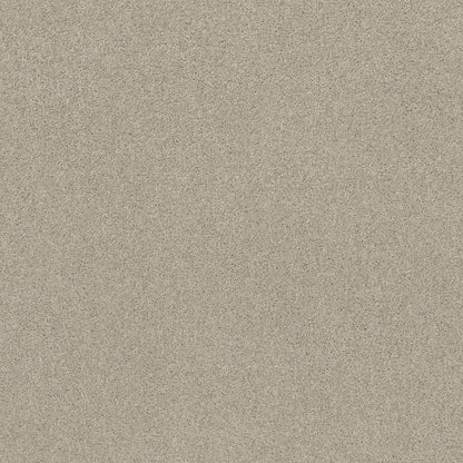 TEXTURE BCF
