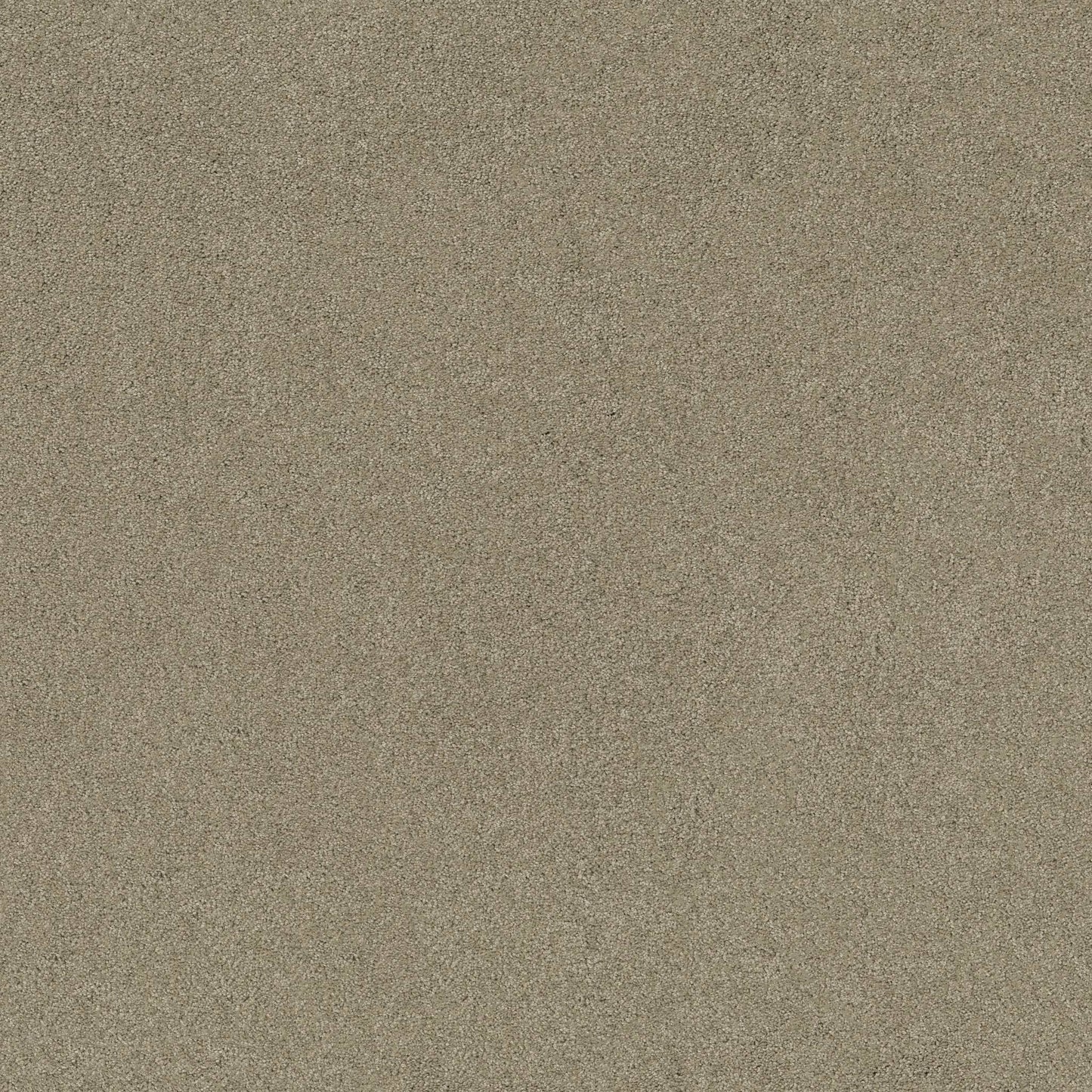 TEXTURE BCF
