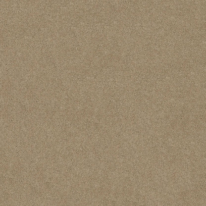 TEXTURE BCF