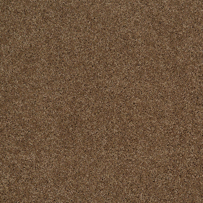 TEXTURE BCF