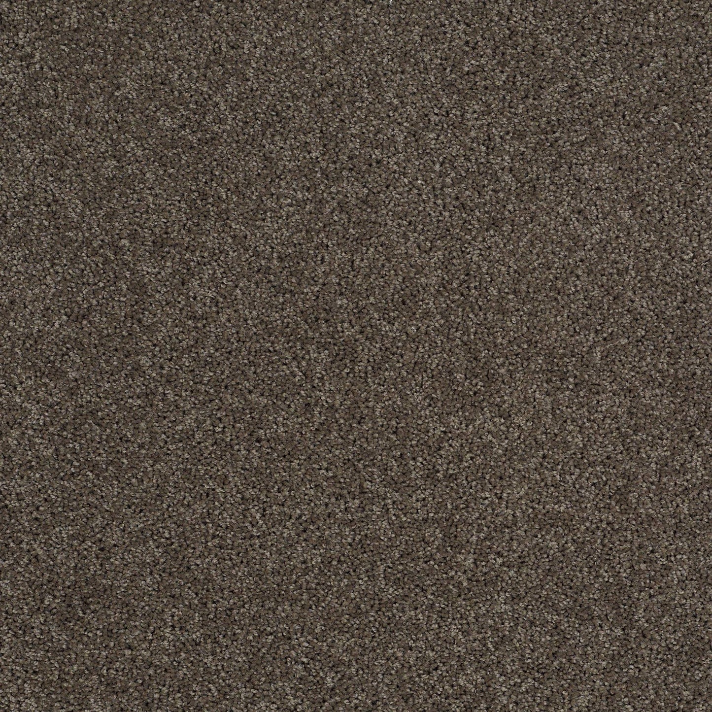 TEXTURE BCF
