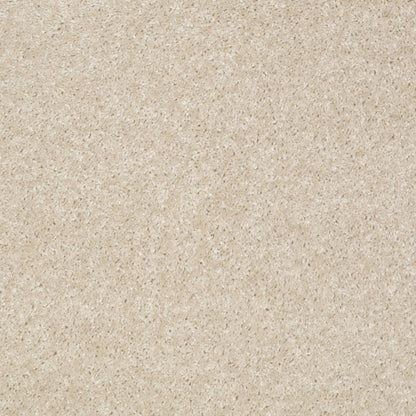 TEXTURE BCF