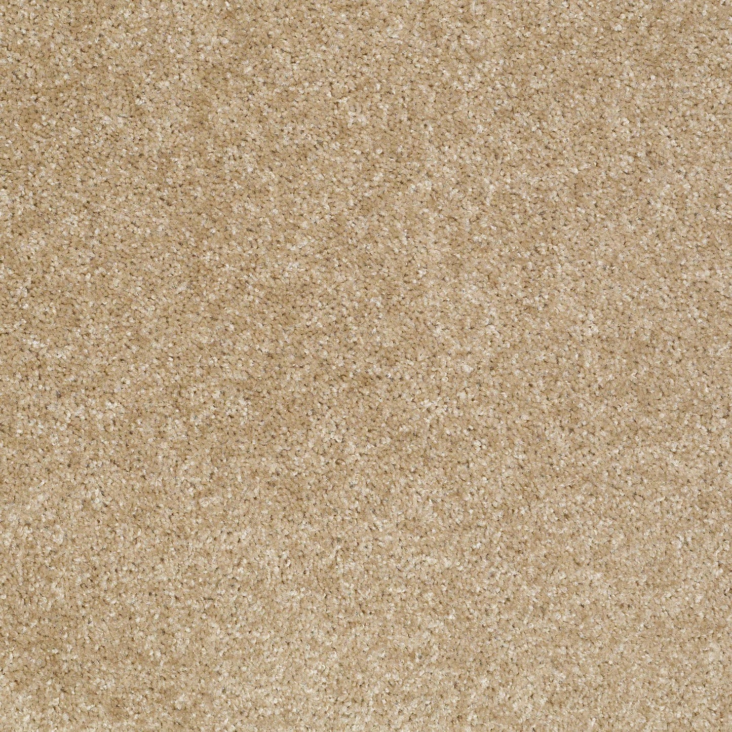 TEXTURE BCF
