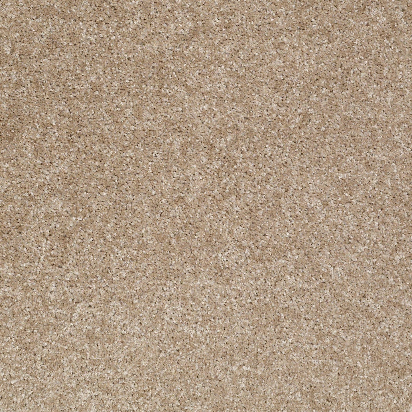 TEXTURE BCF